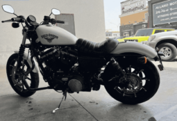 
										2018 Harley-Davidson Sportster 883 Low (XL883L) full									