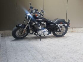 2013 Harley-Davidson Sportster 1200 (XL1200)