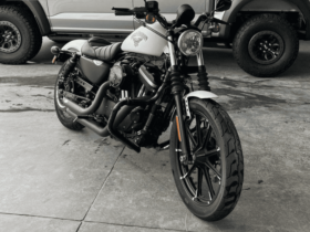 2018 Harley-Davidson Sportster 883 Low (XL883L)