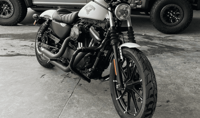 
								2018 Harley-Davidson Sportster 883 Low (XL883L) full									